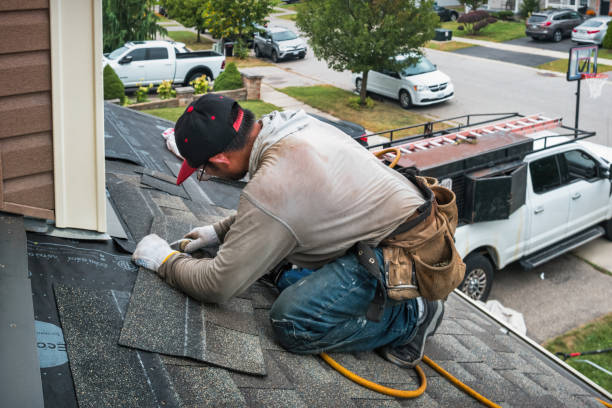 Professional Roof Leak Repair technician working in Cortland, IL